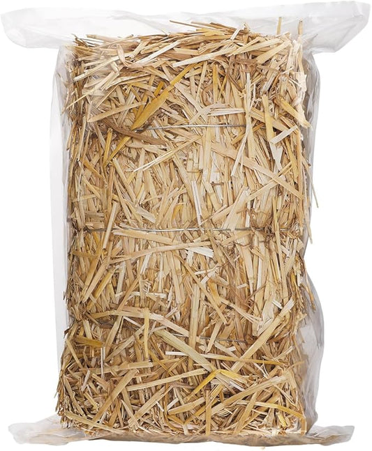 Natural Wheat Straw - 1 LB Dry Straw, Clean and Soft Decorative Straw Bale for Stray Cats Dogs Yard Farm Pets Garden Mulch Grass Cover