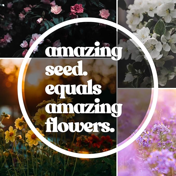 Zinnia Seeds for Planting Outdoors - ~1,500 California Giant Mix Zinnia Seeds - Beautiful 4' Tall Wildflower Blossoms - Zinnia elegans Pollinator Seed Mix - Bright, Cheerful Annual Flower Seed Packets
