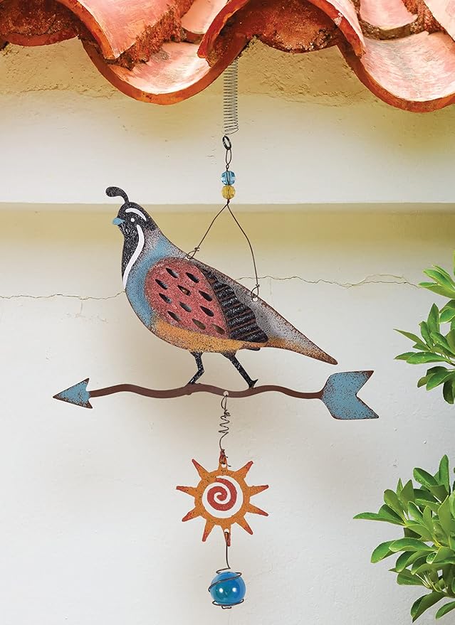 Sunset Vista Designs 93754 Hanging Bouncy (Quail, 17-inch Height)