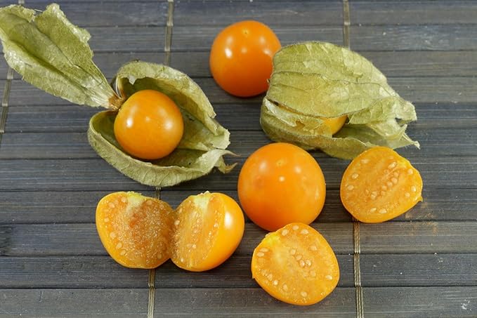 Seeds Cape Gooseberry Peruvian Groundcherry - Orange Physalis - Heirloom Fruit - GMO Free