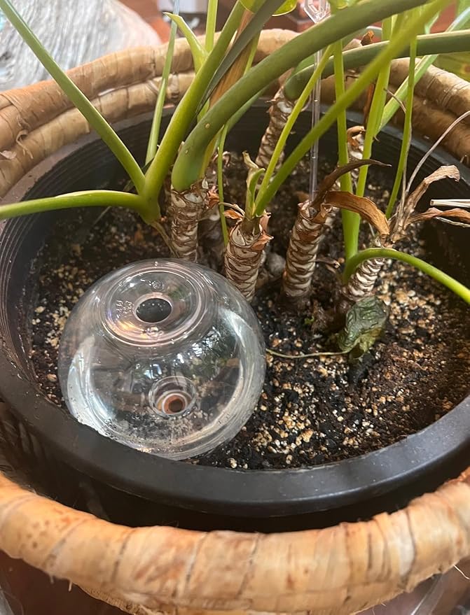 Blumat Clear Globe 3-Pack