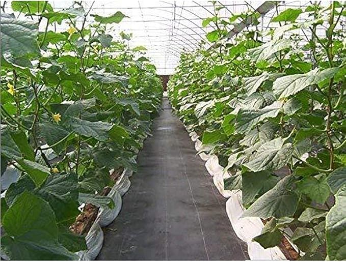 Agfabric 5x100ft Landsacpe Ground Cover Heavy Duty PP Woven Weed Barrier,Soil Erosion Control and UV stabilized, Plastic Mulch Weed Block
