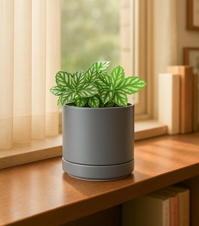 D'vine Dev Set of 2 Plants Pots, 4.7 Inch Ceramic Planter Pot for Plants with Drainage Hole and Saucer, Speckled Grey, 94-V-B-3