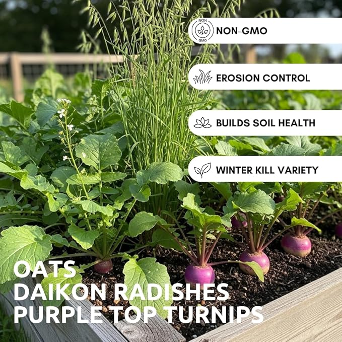 Cover Crop 3 Seed Mix – Oats, Daikon Radish & Purple Top Turnips – 5 lb Bag – Winter Hardy, Soil Builder, Attracts Earthworms & Provides Forage