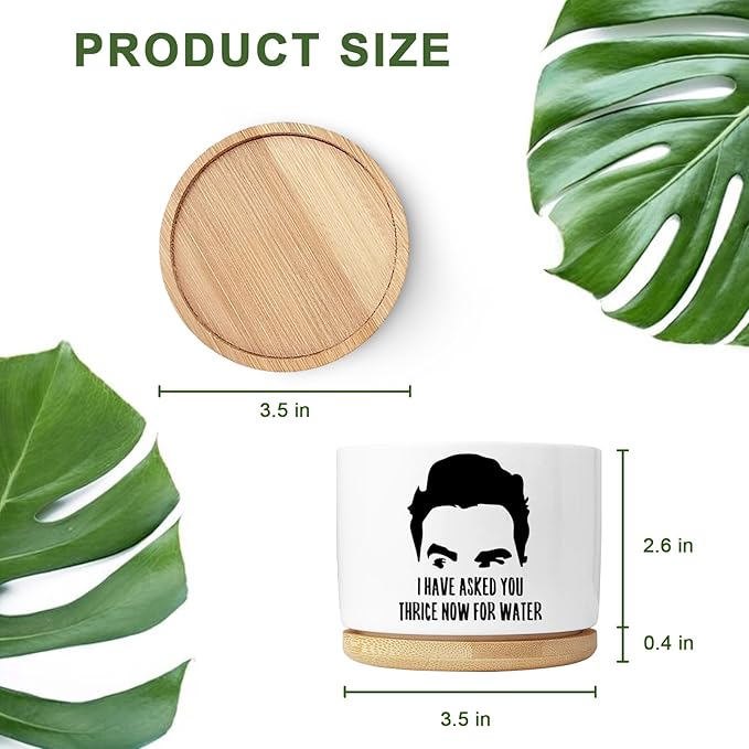 Funny Succulent Planter, Flower Cactus Plant Pot for Indoor Plants, Fun Planter Pots with Drainage and Tray, Office Home Windowsill Decor Planter Gift for Coworker Men (No Plants)