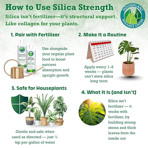 Silica Strength Plant Supplement – Strengthens Stems, Supports Upright Leaves & Improves Stress Resilience | Ready-to-Use 4.5% Liquid Concentrate for Houseplants | 8 oz | Makes 96 Gallons