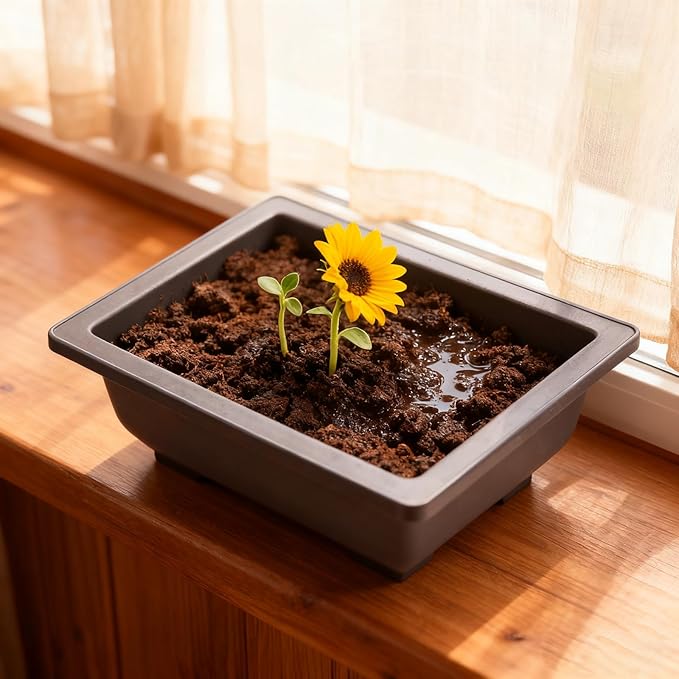 15 PCS 6.5 Inch Bonsai Training Pots with Trays, Rectangular Plastic Growing Pots, Flower Succulent Pots Container for Garden, Yard, Office, Porch, Balcony, Home Decoration