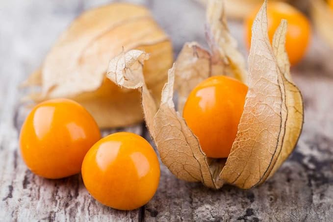 Seeds Cape Gooseberry Peruvian Groundcherry - Orange Physalis - Heirloom Fruit - GMO Free