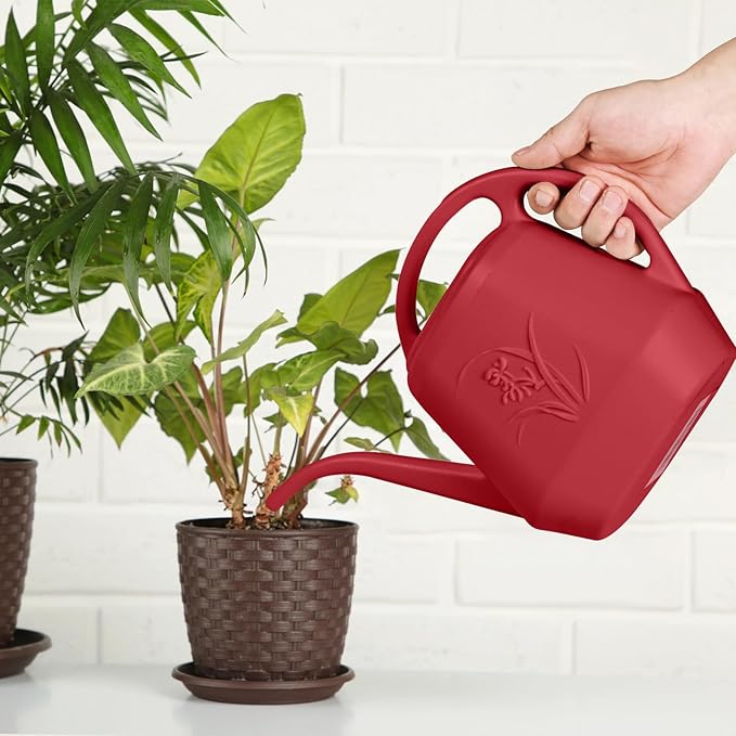 Watering Can - for Home Plant Garden - 1 Gallon - Wine Red