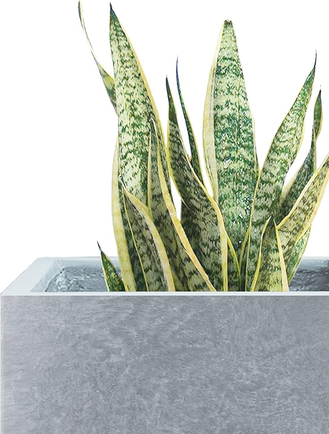 Kante 12.6" H Tall Rectangular Concrete Planters, Outdoor Indoor Lightweight Plant Pots with Drainage Hole and Rubber Plug, Modern Style for Home Garden Patio, Slate Gray