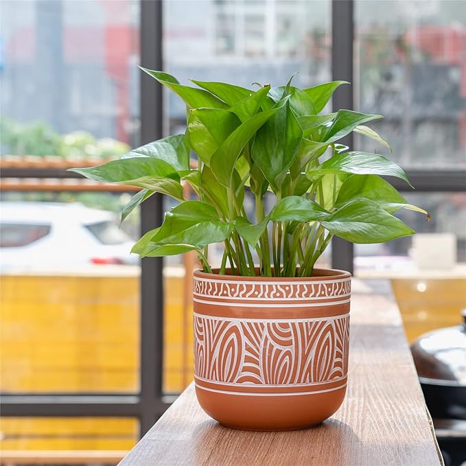 4.6 + 6 Inch Terracotta Succulent Planter Pots Terra Cotta Planter Clay Pots with Drainage Set of 2