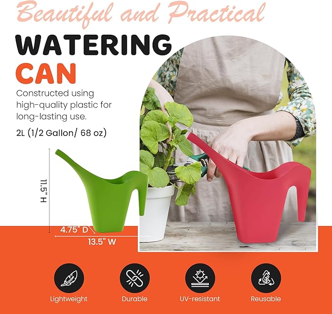 Mintra 1/2 Gallon Plant Watering Can, Indoor Outdoor Water Can for Plants, Long Spout Plastic Water Pitcher for Watering Flower Succulent, Durable and Lightweight, 2L/68 oz, 1 Pack, Forest Green