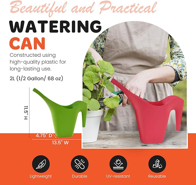 Mintra 1/2 Gallon Plant Watering Can, Indoor Outdoor Water Can for Plants, Long Spout Plastic Water Pitcher for Watering Flower Succulent, Durable and Lightweight, 2L/68 oz, 1 Pack, White