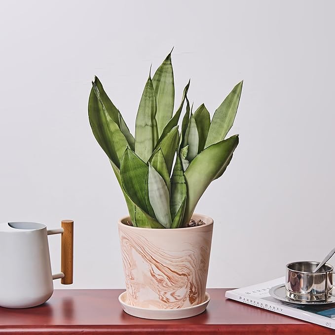 6 in Flower Planters Indoor, Modern Red Terra Cotta Plant Pot, Succulents Containers with Drain Hole Saucer, Decorate Home, Office, Outdoor/Garden Plants