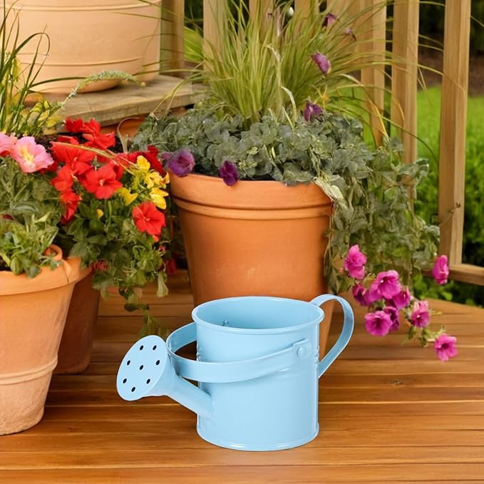 4Pcs Kids Watering Pot Metal Waterbottle Creative Watering Tin Small Watering Can Iron Sprinkling Kettle Portable Watering Can