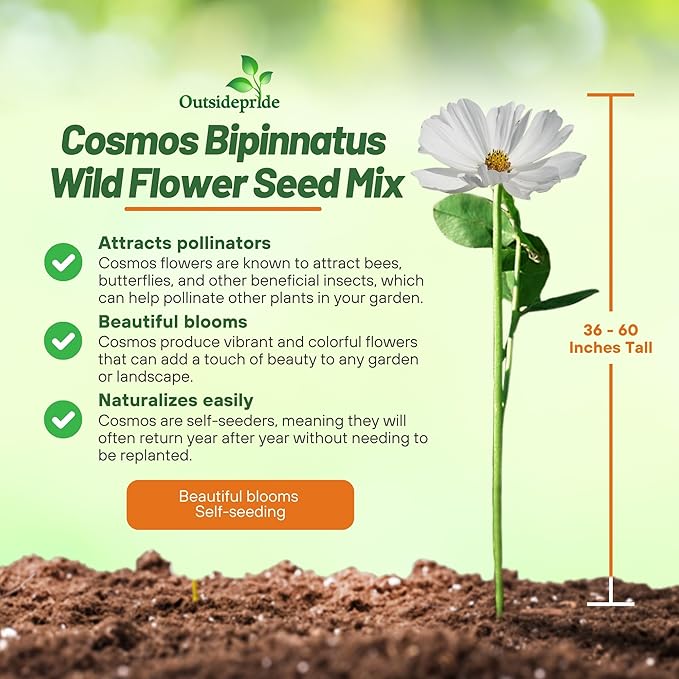 Outsidepride Sensation Mix Cosmos Bipinnatus Seeds - 5 lbs. Annual, Drought-Tolerant, Self-Sowing, Mixed Flower Seeds for Planting Outdoors, Easy-Grow Pollinator Garden & Cut Flowers (AAS Winner)