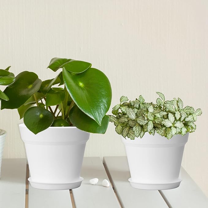 6 Pack Plastic Plant Pots with Drainage Holes and Tray, 7 inch Thickened Indoor Planters Seedlings Nursery Pots for Flowers, African Violet, Succulent and All House Plants, White