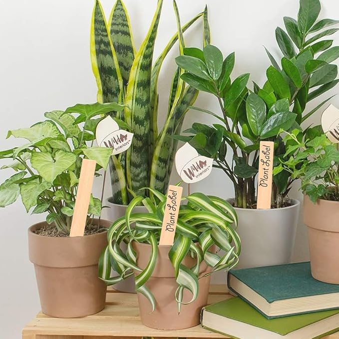 Zkptops 50Pcs Plant Labels 6 Inch Wooden Plant Tags Waterproof Garden Markers Plant Markers Garden Labels Sticks Eco-Friendly Wooden Plant Sign Stakes Sticks for Seed Pot Herbs Flowers Vegetables
