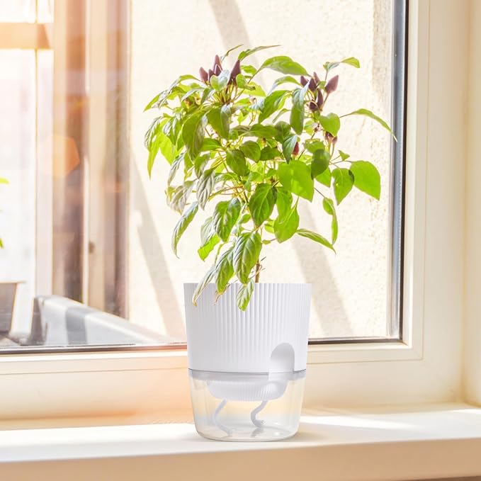 ZXJ 5.5 Inch Self Watering Planter Pots for Indoor Plants - African Violet Pots with Wick Rope - White