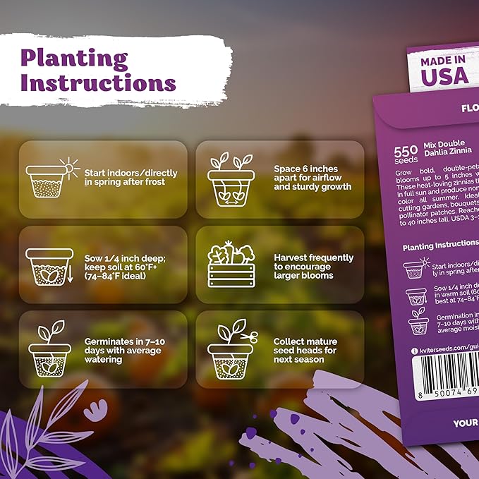 KVITER 550 Dahlia Zinnia Seeds for 2025 Mix (Zinnia Elegans) – Double Blooms, Heirloom & Organic – Flower Seeds for Planting Outdoors in Garden, Containers, Flower Beds. Ideal for Cut Flowers