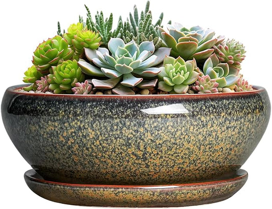 SQOWL Succulent Pots - 8 Inch Ceramic Bonsai Pots, Round Shallow Planter with Drainage Hole and Saucer, Succulent Indoor Planter, Bowl Planters Outdoor, Apartment Decor, Gifts for Women, Brown