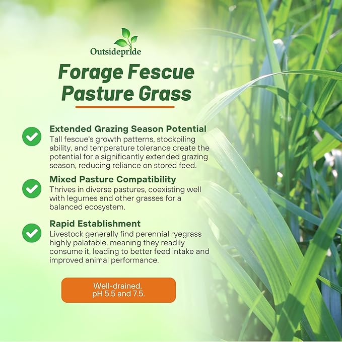 Outsidepride Forage Tall Fescue Grass Seeds - 25 lb. Perennial, Drought-Tolerant & Easy to Grow, Pasture Seeds for Planting Soft & Abundant Grass, Great for Grazing Livestock & Hay Production