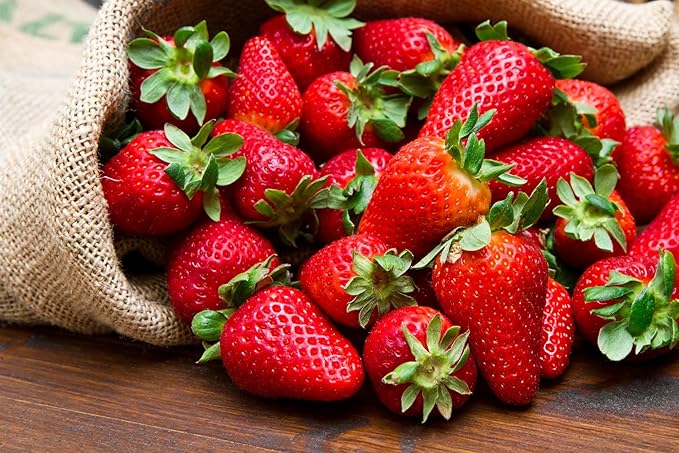 Ruby Royale Strawberry Plants - Grow Giant Strawberries - Bare Root Plants (30 Plants)