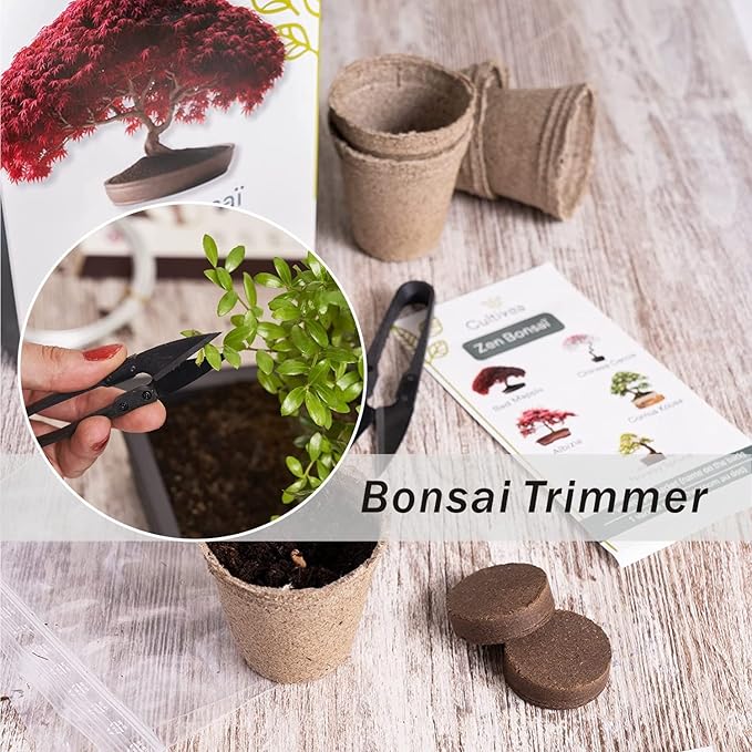 JINJIAN Bonsai Pruning Scissors 6PCS - Small Pruner Shears Bud Leaves Trimmer Garden Shears for Plants, Gardening Clippers for Flower Bonsai Trimming Pruners Trimmers Secateurs(BLACK)