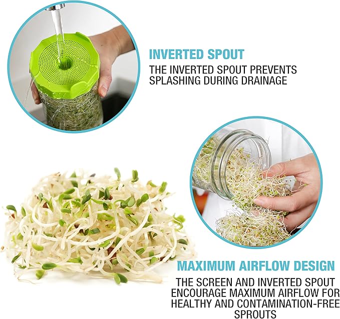 Masontops Mason Jar Bean Sprouting Jar Starter Set - Easy DIY Bean Sprout Kit with Organic Seeds, Sprouting Lids, Complete Bean Sprouts Grow Kit