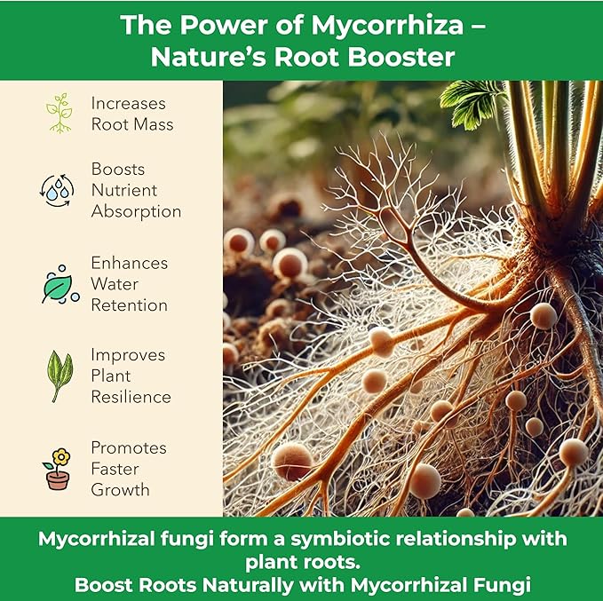 Organic Original Super Soil Concentrate with Mycorrhizae – Living Soil Boosts Roots & Buds for Seeds & Clones - Indoor & Outdoor Growing - Mix 1:4 with Topsoil Potting Soil(4 quarts)