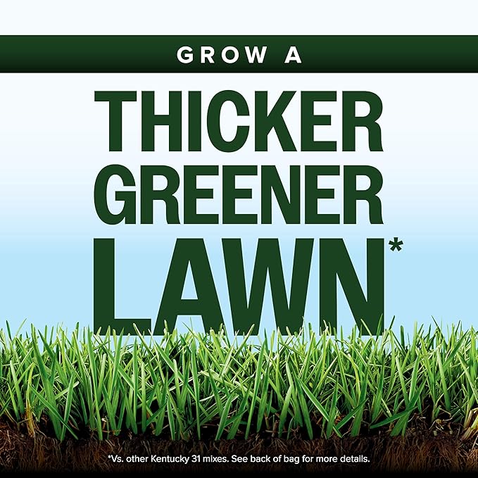 Scotts Kentucky 31 Grass Seed Mix for New Lawns or Overseeding, Grows Thicker and Greener vs. Other Kentucky 31 Mixes, Covers up to 10,000 sq. ft.