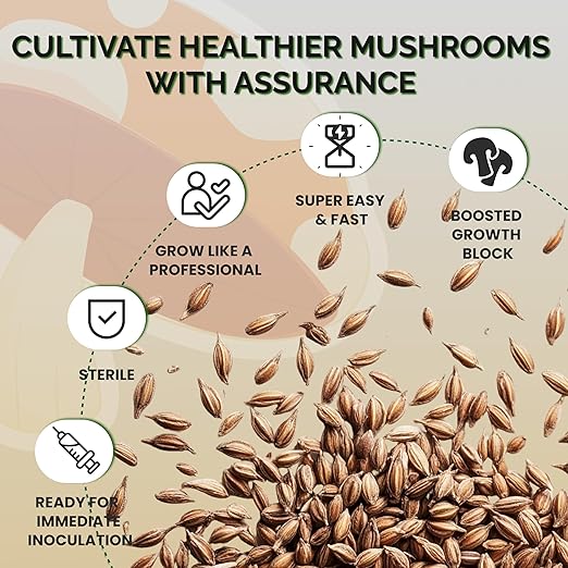 MycoHaus Mushroom Growing Kit with Injection Ports | Sterilized Rye Grain | Magic Indoor Grow Bags for Mushrooms | Home Cultivation Supplies | Without Spores | 1 Pound (6 Pack)