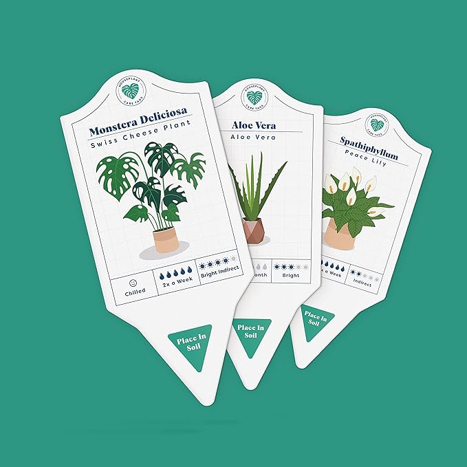 Bubblegum Stuff - Houseplant Care Tags - 30 Plant Species | Indoor Plants - Home Accessories | 100% Recycled Paper - Dimensions 13.7x6cm…
