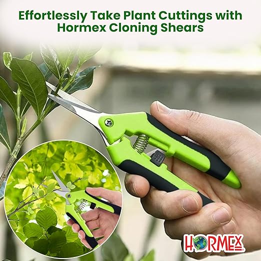 Hormex Rooting Powder #8, Grow Cubes, Shears Combo - Rooting Hormone for Semi-Hardwood Plants & Medicinal Cuttings | Root Starter Cubes for Cloning Plants | Precision Straight-Blade Shears (50 Plugs)