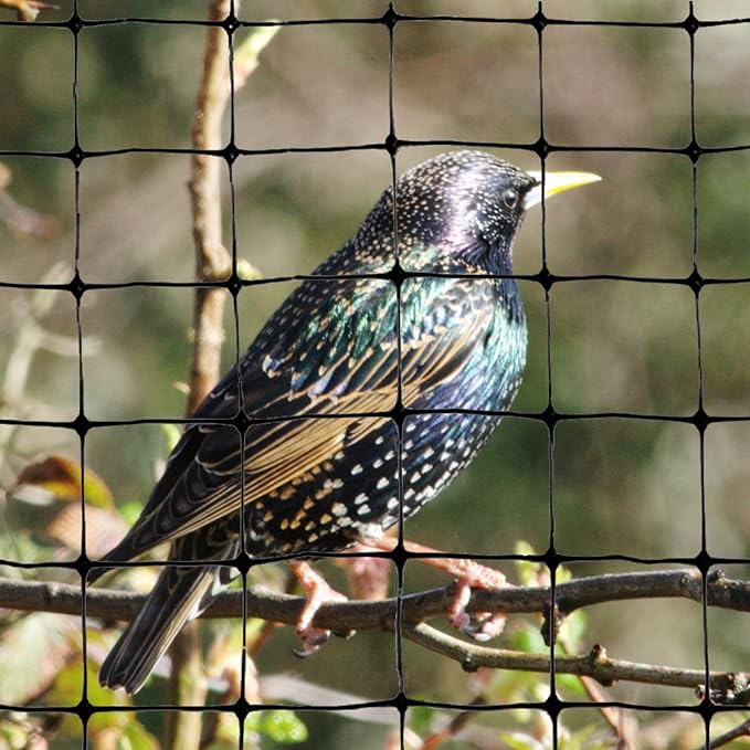 Bird-X Standard Bird Netting, Ideal for Gardens and Lightweight Applications, UV-Stabilized Mesh Netting with 3/4" Hole Opening, Easy to Install, 100' x 14'