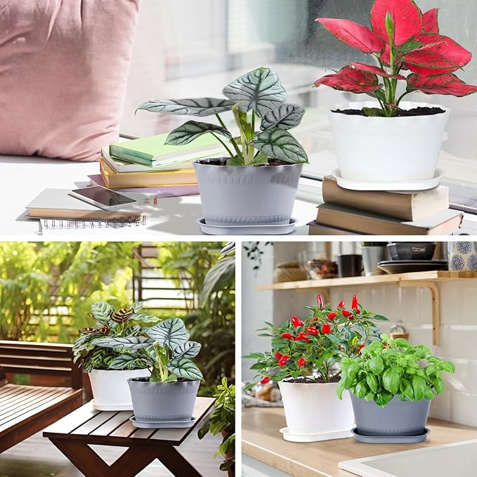 Herb Planter Pots 6 Pcs, Window Box Planter Flower Plants Pots for Succulent Cactus Flower with Trays, for Home Garden Kitchen Decor (White)