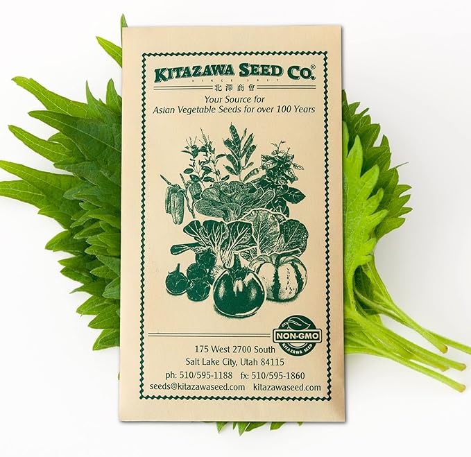 Korean Perilla Seeds – Heirloom, Non-GMO – Easy-to-Grow Culinary Herb for Asian Dishes, Wraps & Garnishes – Ideal for Home Gardens & Containers – Annual Herb with Fragrant Leaves