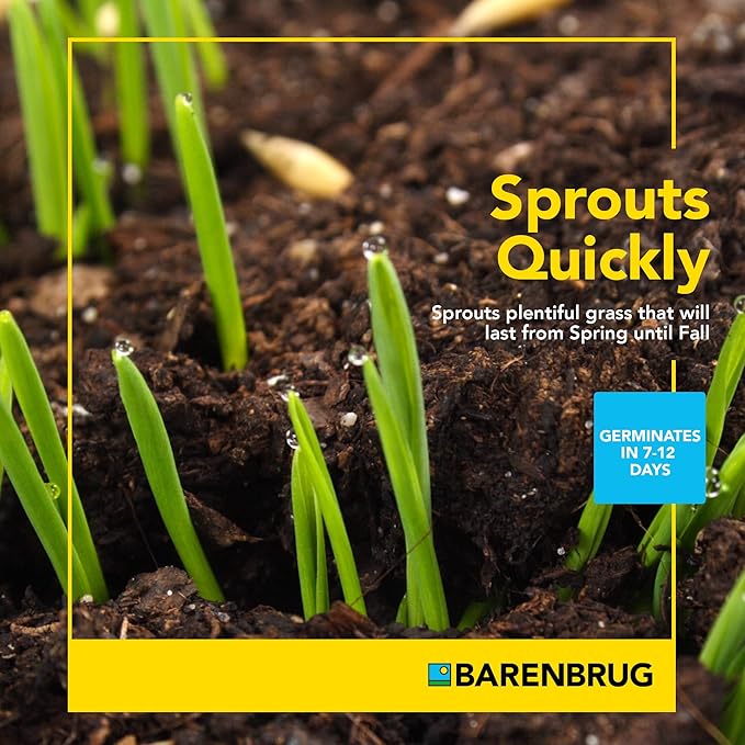 Barenbrug Wonderlawn Sun and Shade Grass Seed Mix for Lawn Care and Landscaping, 3 lbs. Bag