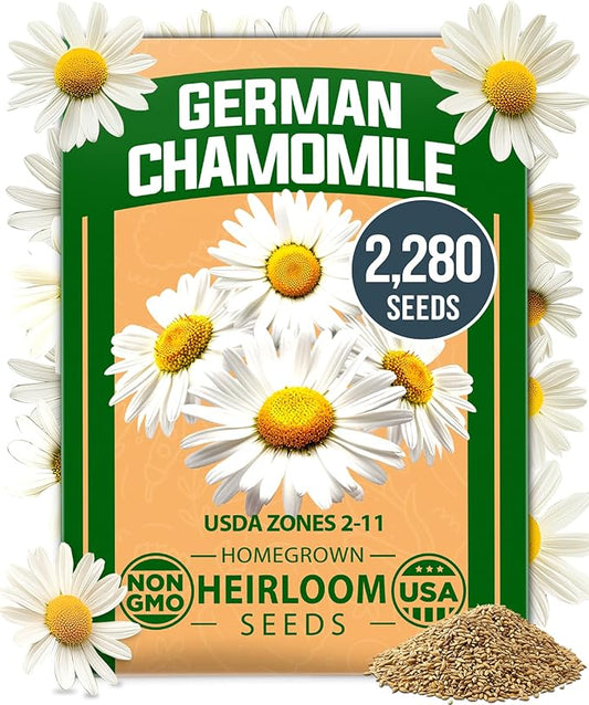 HOME GROWN German Chamomile Seed Pack – 2,280 Non GMO Heirloom Seeds for Planting for Sustainable Gardens and Soothing Medicinal Herbal Teas (Matricaria chamomilla)