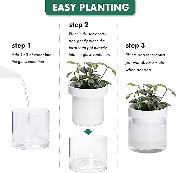 Phoenix Vine 6 Inch Self Watering Planter, White Terracotta Clay Pot with Glass Reservoir for Indoor Plants, Herbs, Flowers, Set of 1, 52-B-F-1