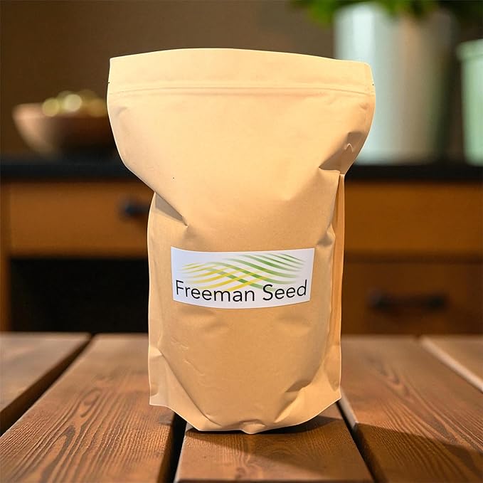 Guardian Winter Rye Grass Seed by Freeman Seed – Fast-Growing Winter Cover Crop for Soil Health, Erosion Control & Food Plots – Cold-Tolerant, Easy Germination (5 lb)