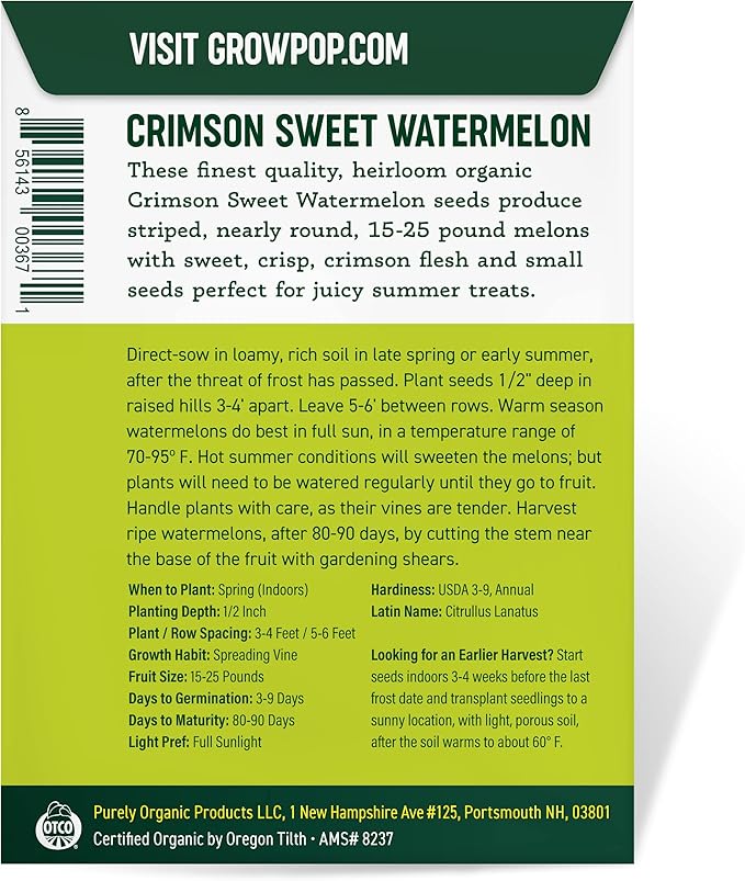 Organic Watermelon Seeds (Crimson Sweet) - Approx 12 Seeds - USDA Organic, Non-GMO, Open Pollinated, Heirloom, USA Origin (Pack of 2)