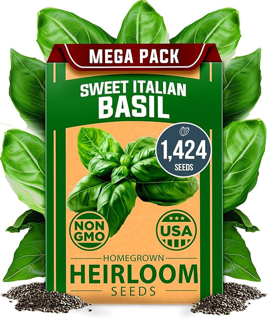 HOME GROWN Italian Basil Seeds Bulk Pack 1,424 Sweet Large Leaf Basil Seeds for Planting and Heirloom Herb Seeds for Planting Indoors or Outdoors (Ocimum basilicum)