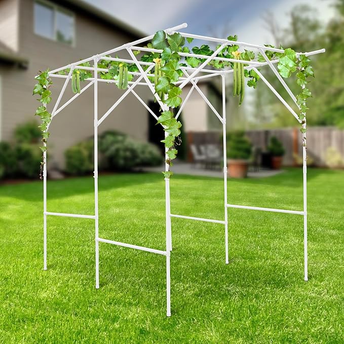 Grape Trellis | 79'' L x 59'' W x 79'' H Grape Vine Support Arch Arbor | Plant Climbing Pergola | Arbour Gazebo Trellis Rack Pergola | Plant Support Rack Trellises for Vegetable Fruit (White)
