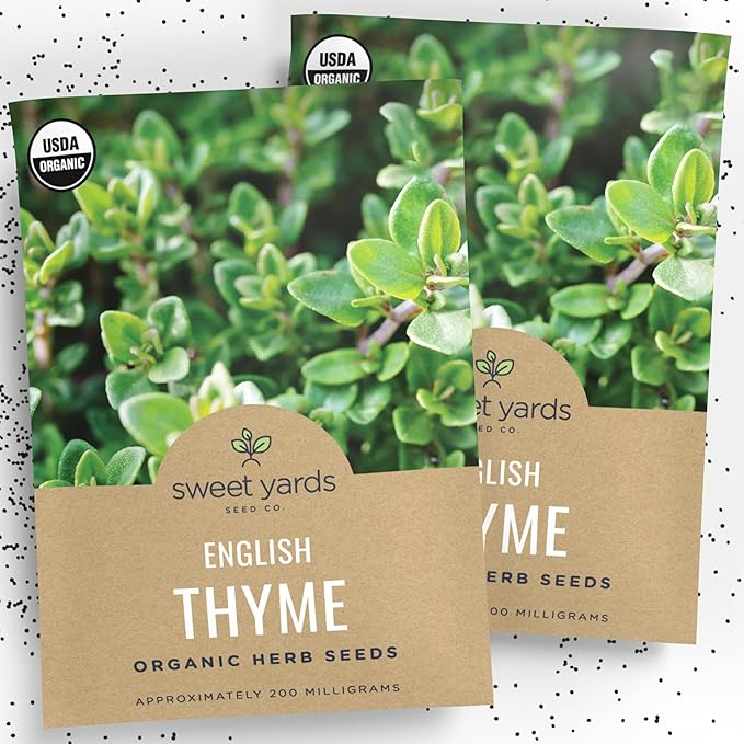 Organic English Thyme Seeds – Two Seed Packets! – Over 1,400 Open Pollinated Non-GMO Seeds – Sweet Yards Seed Co.