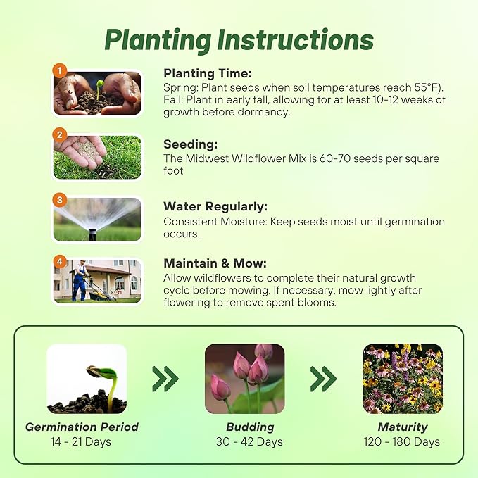 Outsidepride Midwest Wildflower Seed Mix - 1 Lb. Premium Blend of Annual & Perennial Native Wildflower Seeds for Midwestern States, Attracts Pollinators, Low-Maintenance, Ideal for Meadows & Gardens