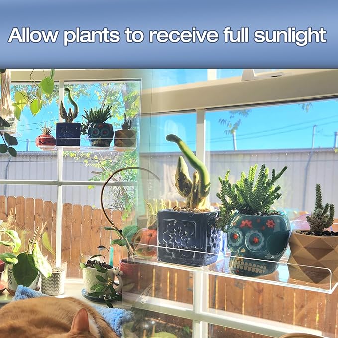 2 Pack 12 Inch Acrylic Window Boxes Plant Shelves, with Suction Cup Window Sill Extender, for Indoor/Outdoor Succulents, Micro Greens, Seed Starter Pots, Herb Planters