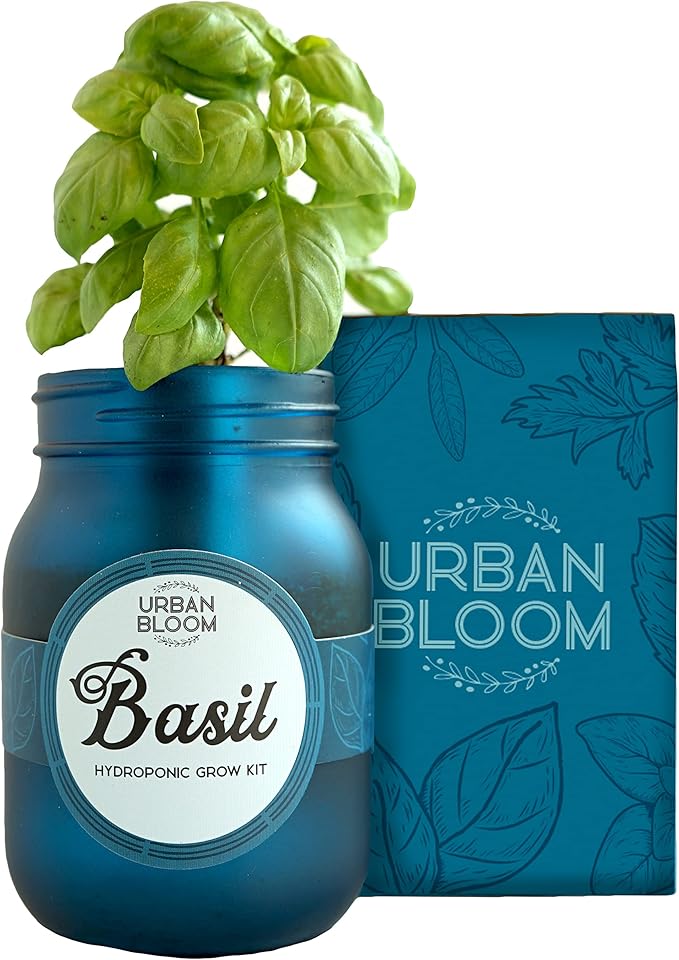 Hydroponic Herb Growing Kits - Catnip - Indoor Garden System in a Mason Jar - Herb Garden Kit for an Indoor Greenhouse - Indoor Plant Hydroponic Growing System w/Fresh Herb Seeds
