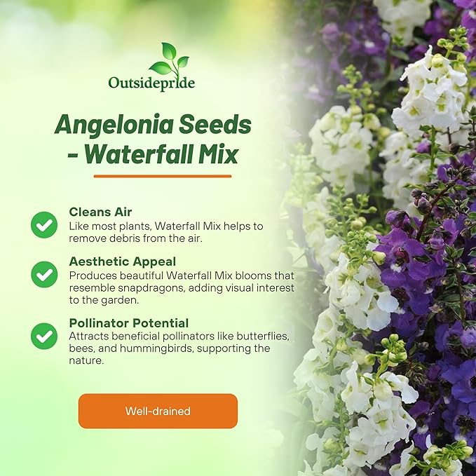 Outsidepride Serena Waterfall Mix Angelonia Snapdragon Seeds for Planting - 30 Pcs Perennial Flower Seeds, Pollinator-Friendly, Heat, Humidity & Drought-Tolerant, Compact Growth Habit for Containers