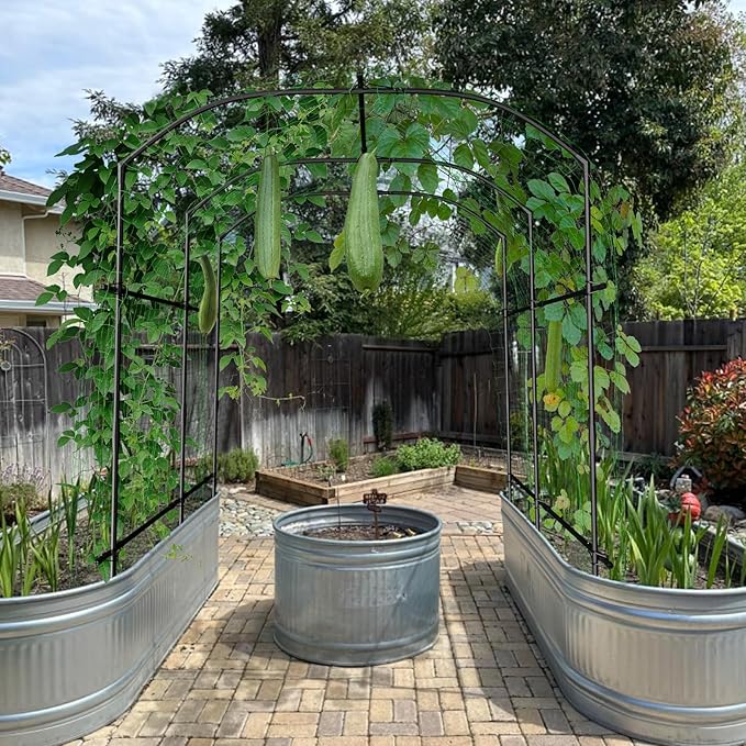 DoCred Large Garden Arch Trellis for Climbing Plants, 87'' H x 75'' L x 71'' W Outdoor Grape Vine Trellises Arch Arbor Gazebo, Grape Trellis for Climbing Plants, Courtyard and Garden Decoration, Black